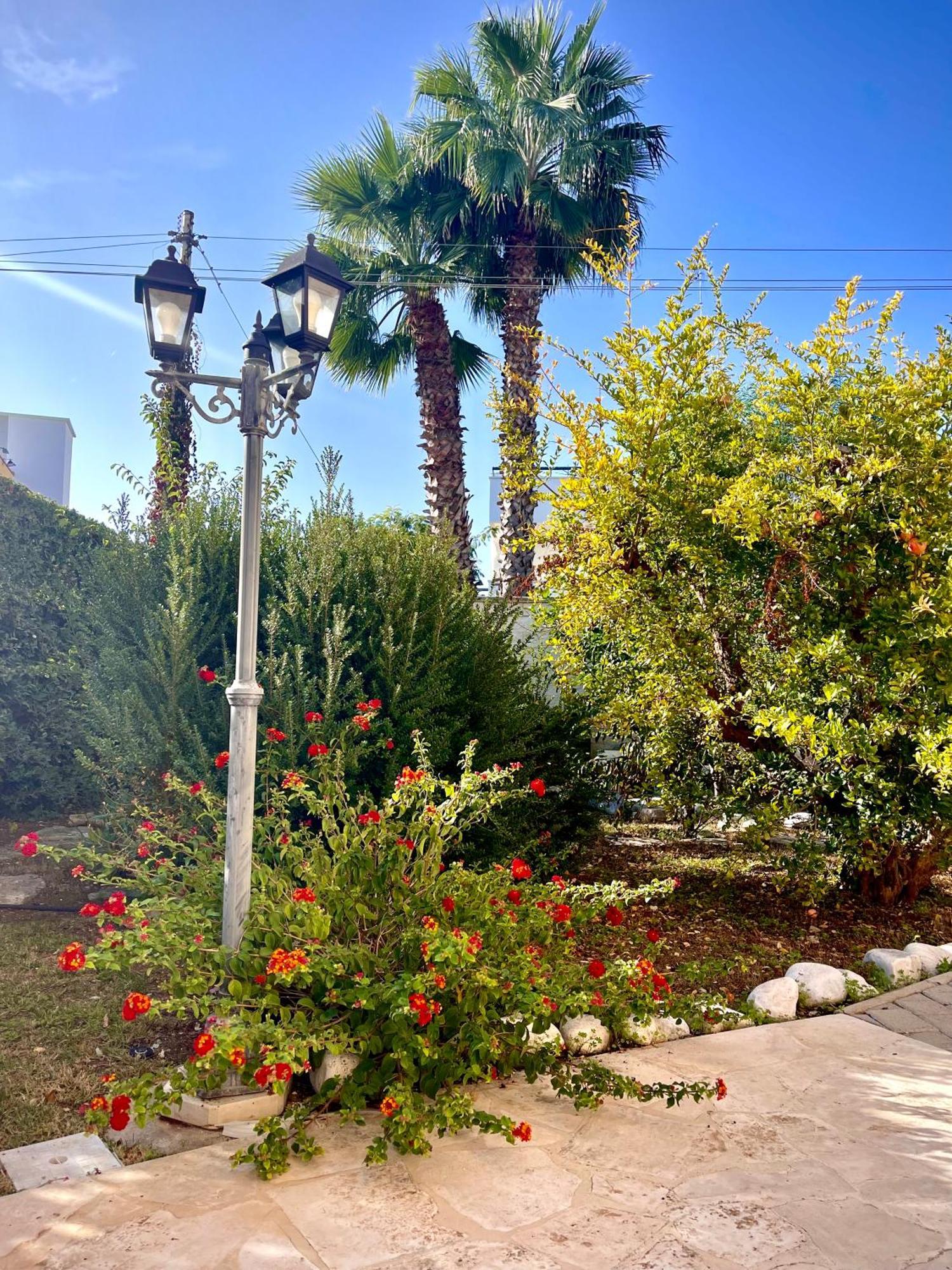 Pignatelli Bed & Breakfast